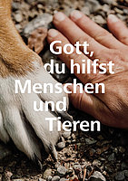 Schöpfung