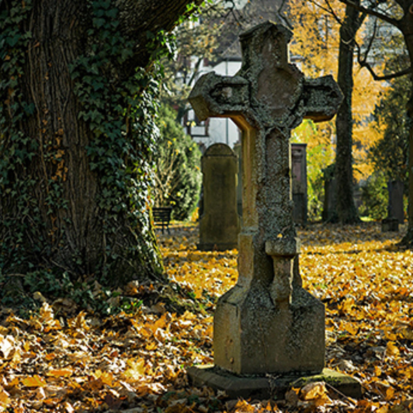 Kreuz_Herbst